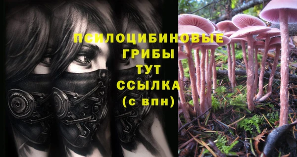 кокаин колумбия Абаза