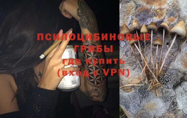 ALPHA PVP Абинск