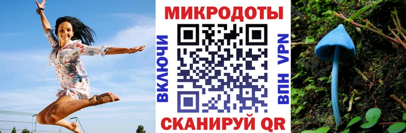 купить цена Тотьма Галлюциногенные грибы мицелий
